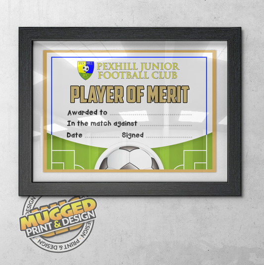 A4 Certificates *PERSONALISED*